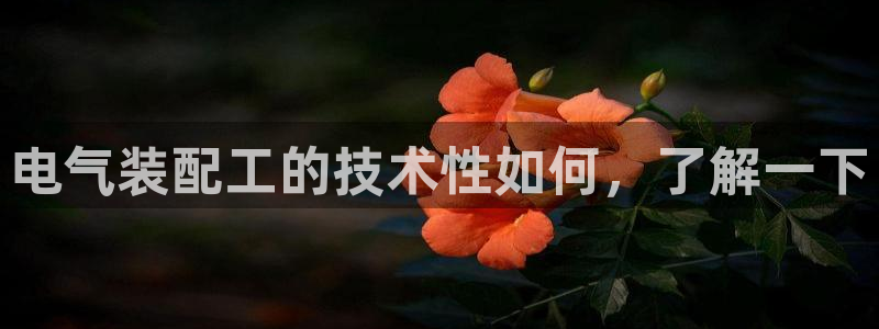 凯发k8国际真人娱乐旗舰厅