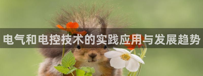 凯发娱网址是什么