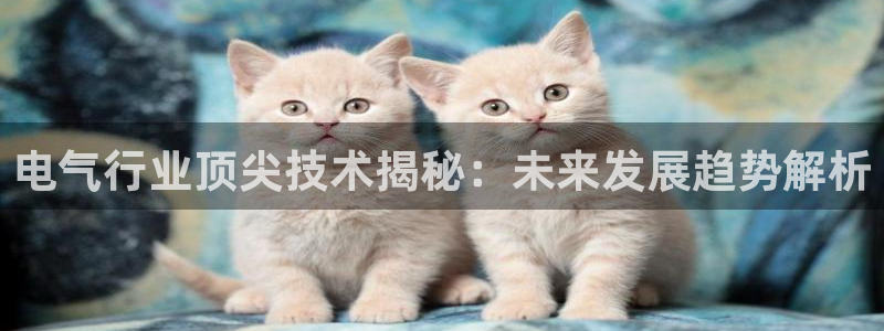 凯发网址直营