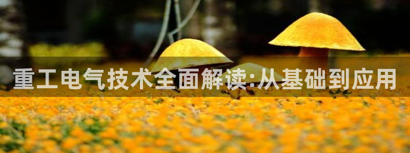 凯发官方:访问凯发.网站