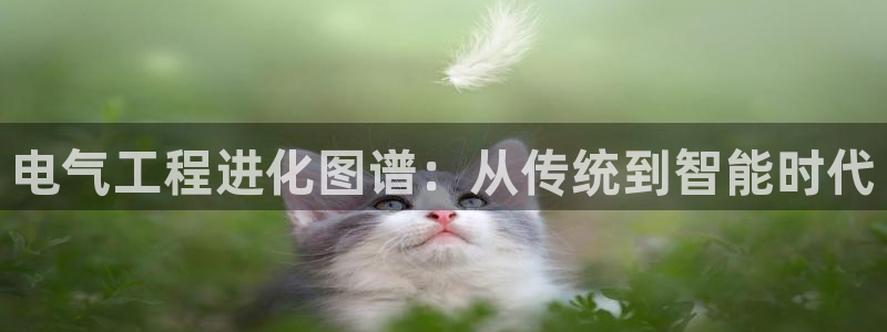 凯发k8手机是正品吗多少钱
