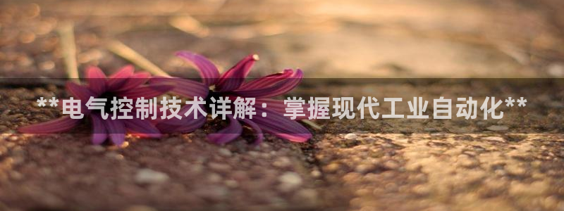 ks8凯发官方网站