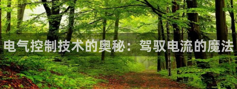 凯发官网入口首页