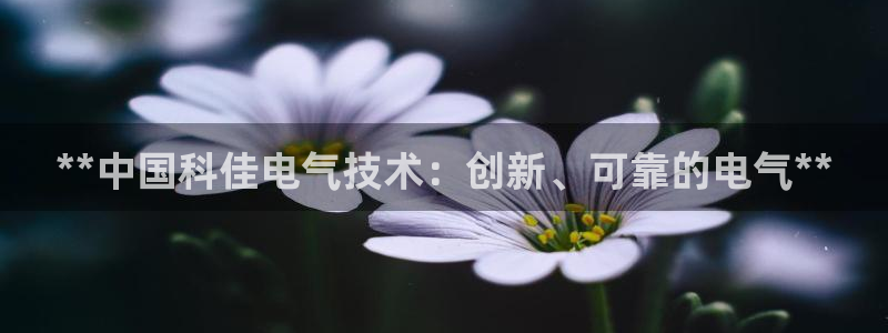 凯发k8客户端