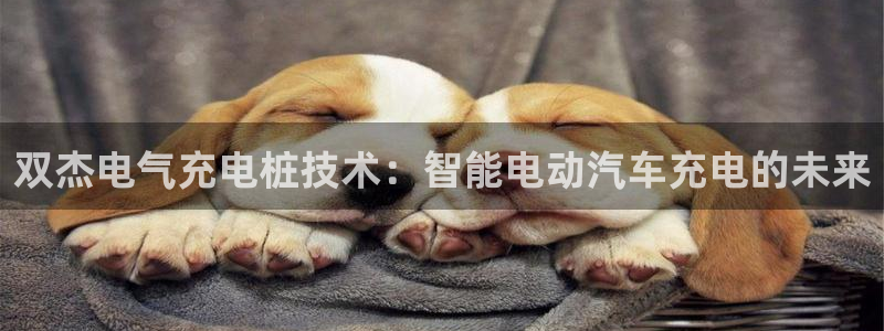 凯发k8国际手机网页