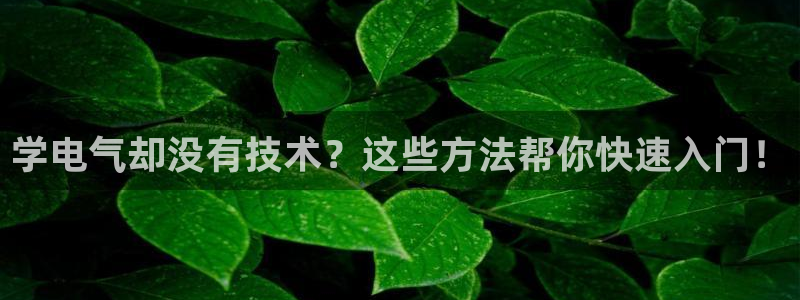 凯发k8ag85856
