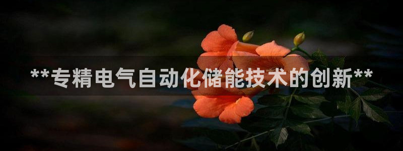 凯发国际网址官网首页