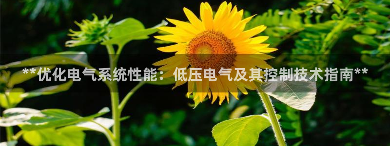凯发旗舰网站