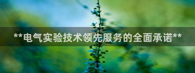 凯发官网登录免费下载