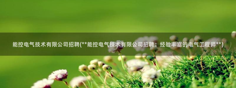 凯发k8官网下载客户端中心