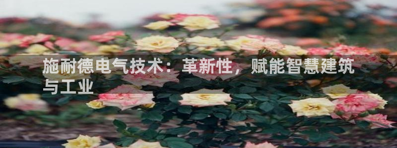 凯发最新官方app下载