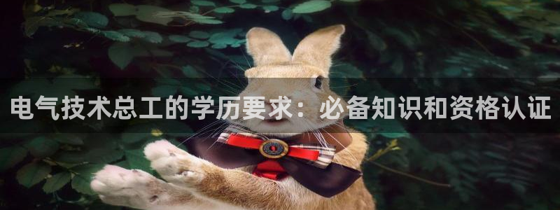 凯发国际网址官网查询