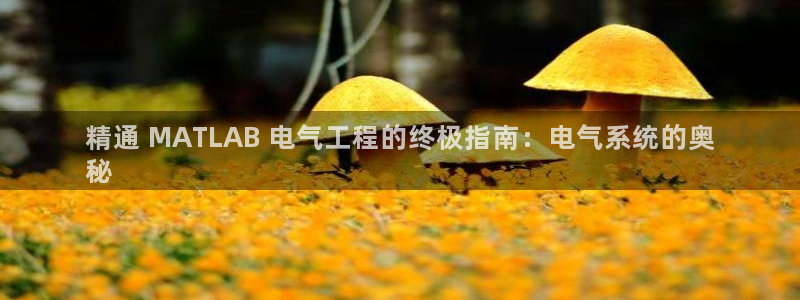 凯发k8娱乐是国内平台?