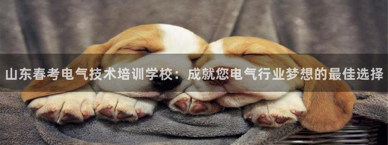 凯发app可信吗