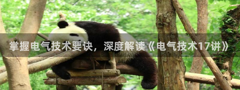 凯发k8娱乐要访问kf6819