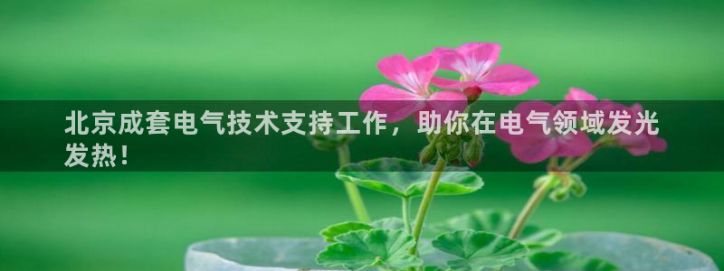 凯发k8app下载：北京成套电气技术支持工作，助你