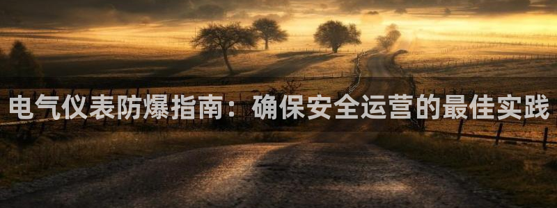 凯发官网登录地址陆地：电气仪表防爆指南：确保安全运