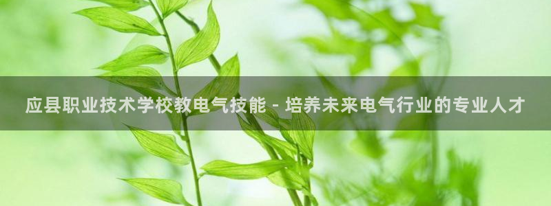 凯发官方首页：应县职业技术学校教电气技能 - 培养