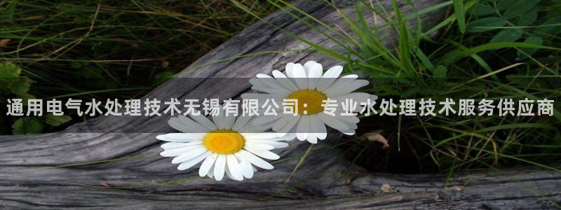 凯发k8娱乐官网入：通用电气水处理技术无锡有限公司