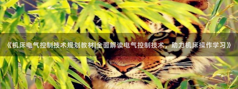 凯发k8娱乐倒闭了吗：《机床电气控制技术规划教材|